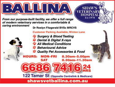 Shaws Veterinary Hospital - VETS Brisbane 6