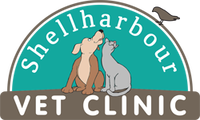 Book Shellharbour Accommodation Vacations VETS Brisbane VETS Brisbane