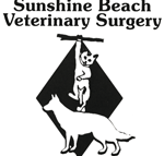 Sunshine Beach Veterinary Surgery - VETS Brisbane