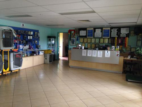 Tarraray Pet Retreat - VETS Brisbane 1