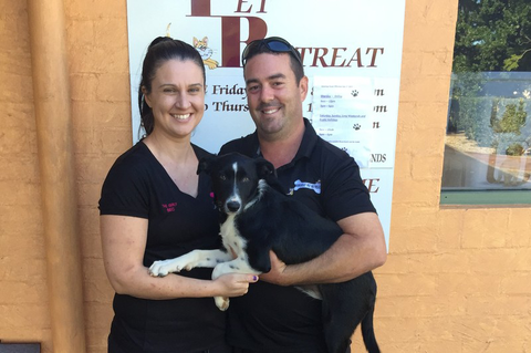 Tarraray Pet Retreat - VETS Brisbane 8