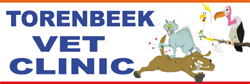 Torenbeek Lester (Veterinary Surgeon) - VETS Brisbane 0