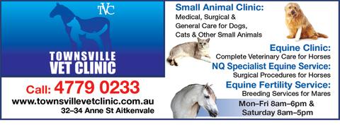 Townsville Vet Clinic - VETS Brisbane 2