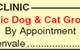 Townsville Vet Clinic - thumb 4