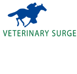 Turner Veronica Veterinary Surgeon - VETS Brisbane