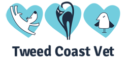 Tweed Coast Vet - VETS Brisbane 0