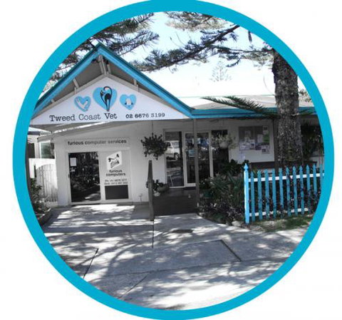 Tweed Coast Vet - VETS Brisbane 1