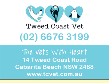 Tweed Coast Vet - VETS Brisbane 2