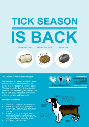 Tweed Coast Vet - VETS Brisbane 3