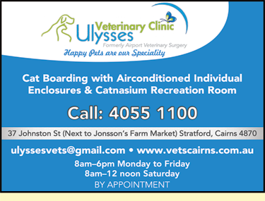 Ulysses Veterinary Clinic Cairns - VETS Brisbane 5