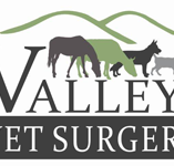 Valley Vet Surgery - VETS Brisbane