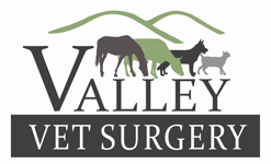 Valley Vet Surgery - VETS Brisbane 0