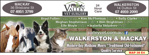 Valley Vet Surgery - VETS Brisbane 8