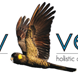 Vitality Vetcare - VETS Brisbane