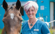Vitality Vetcare - thumb 5