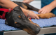 Vitality Vetcare - thumb 15
