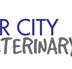 Warnick Ben Veterinary Surgeon - VETS Brisbane
