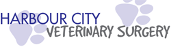 Warnick Ben Veterinary Surgeon - VETS Brisbane 0