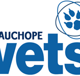 Wauchope Vets - VETS Brisbane
