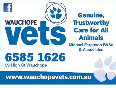 Wauchope Vets - VETS Brisbane 2