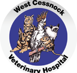 West Cessnock Veterinary Hospital - VETS Brisbane