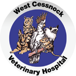 West Cessnock Veterinary Hospital - VETS Brisbane 0