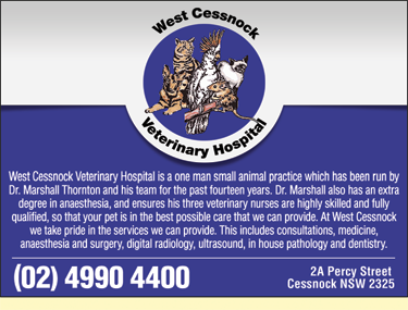 West Cessnock Veterinary Hospital - VETS Brisbane 1