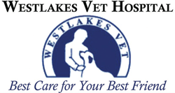 Fennell Bay NSW VETS Brisbane