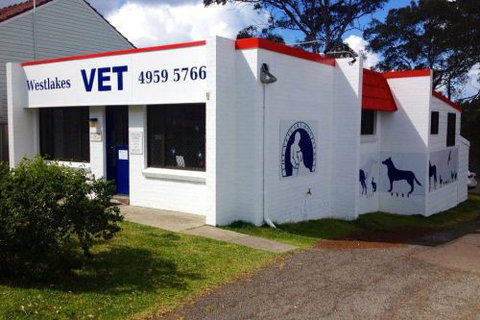 Westlakes Vet Hospital - VETS Brisbane 1
