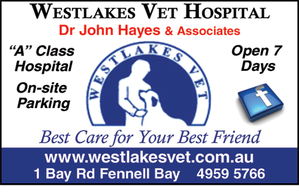 Westlakes Vet Hospital - VETS Brisbane 6