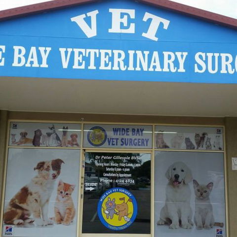 Wide Bay Vet Surgery - VETS Brisbane 5