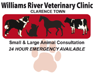 Clarence Town NSW VETS Brisbane