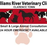Williams River Veterinary Clinic - VETS Brisbane