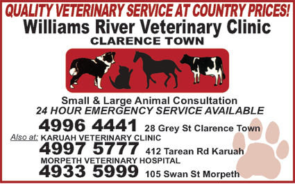 Williams River Veterinary Clinic - VETS Brisbane 3