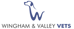 Wingham & Valley Vets - VETS Brisbane 0