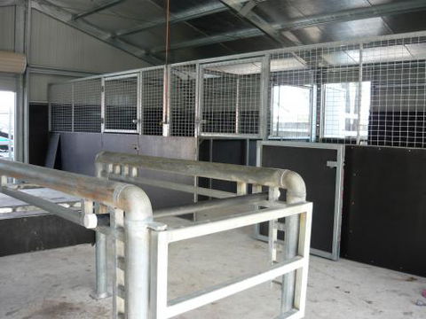 Wingham & Valley Vets - VETS Brisbane 2