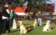 Wingham & Valley Vets - thumb 5