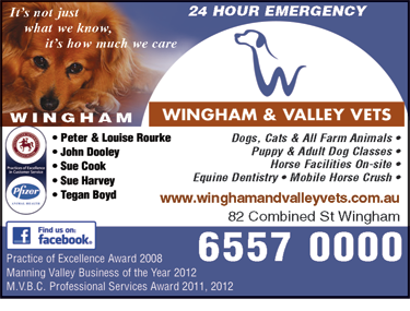 Wingham & Valley Vets - VETS Brisbane 6