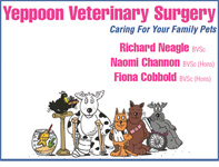 Yeppoon Veterinary Surgery - VETS Brisbane 0