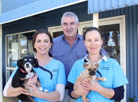 Yeppoon Veterinary Surgery - VETS Brisbane 2