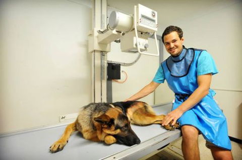 Pacific Vetcare - VETS Brisbane 0