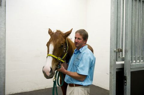 Pacific Vetcare - VETS Brisbane 2