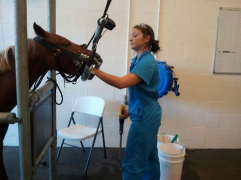 Pacific Vetcare - VETS Brisbane 9