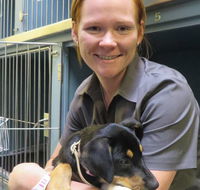 Grafton Veterinary Clinic - VETS Brisbane