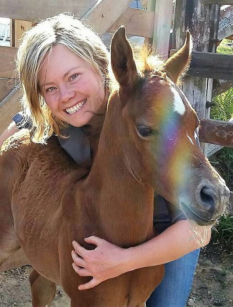 Grafton Veterinary Clinic - VETS Brisbane 2