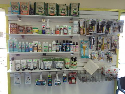 ALBION PARK VETERINARY HOSPITAL - VETS Brisbane 4