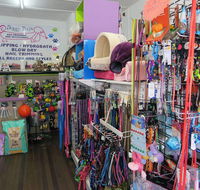 Doggy Days - VETS Brisbane