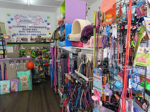 Doggy Days - VETS Brisbane 0
