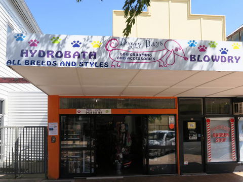 Doggy Days - VETS Brisbane 3