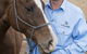 Stabler & Howlett Veterinary Surgeons–North Mackay - thumb 2